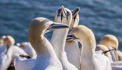 柳林伴游，定制QQ：3494206190微信：act1322